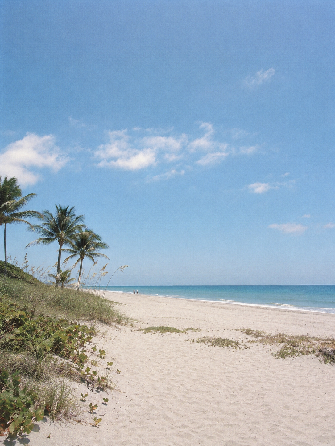 Vero Beach Mornings