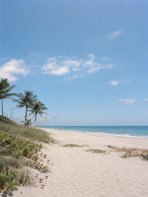 Vero Beach Mornings