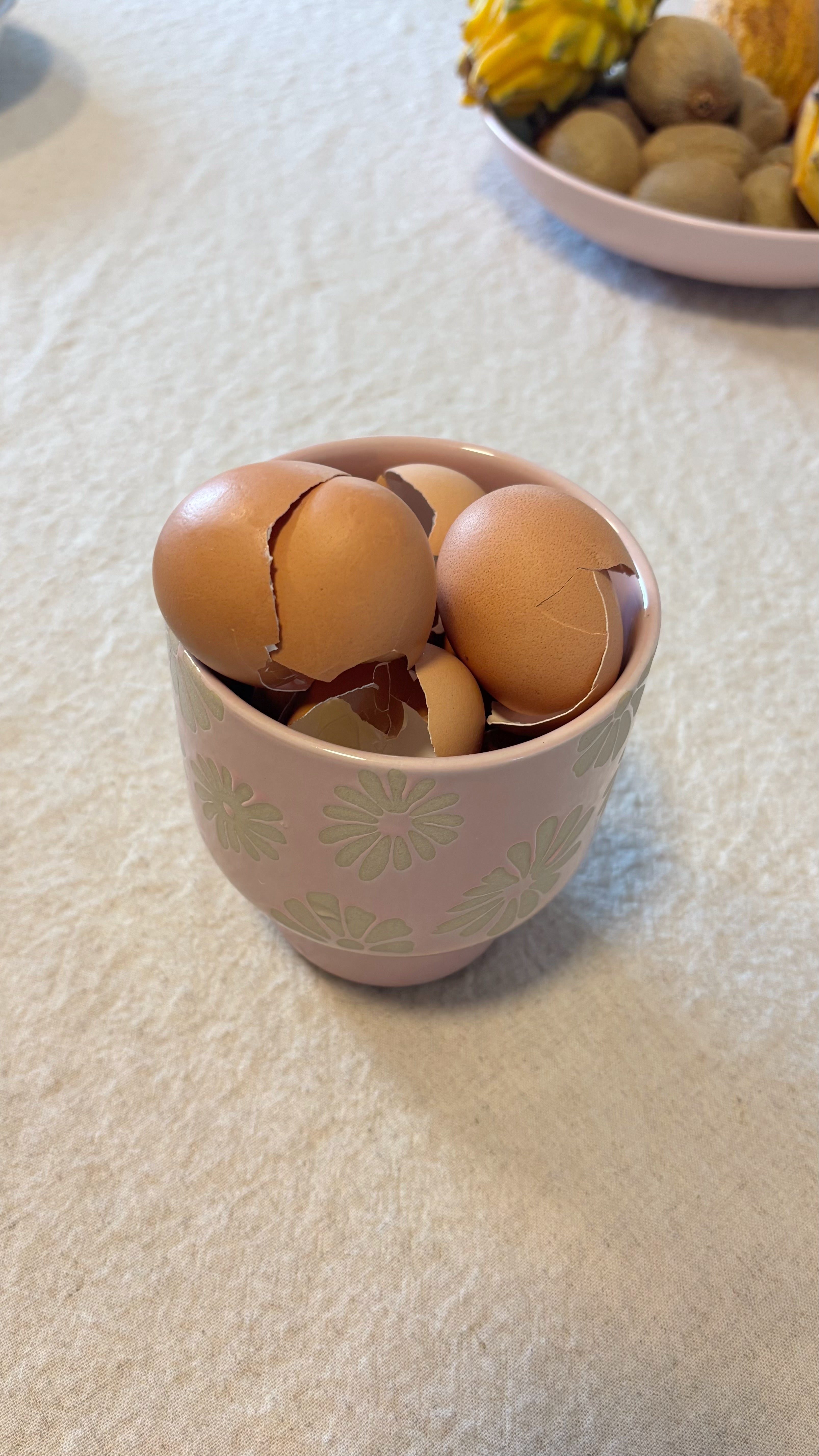 Eggshells for the Garden