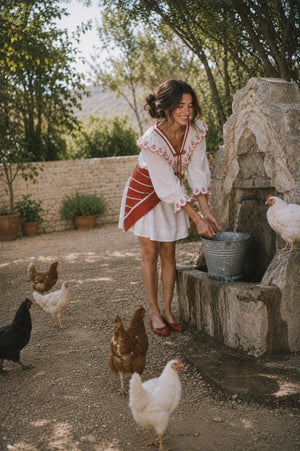 On Eggs, and the Chickens Who Gave Them