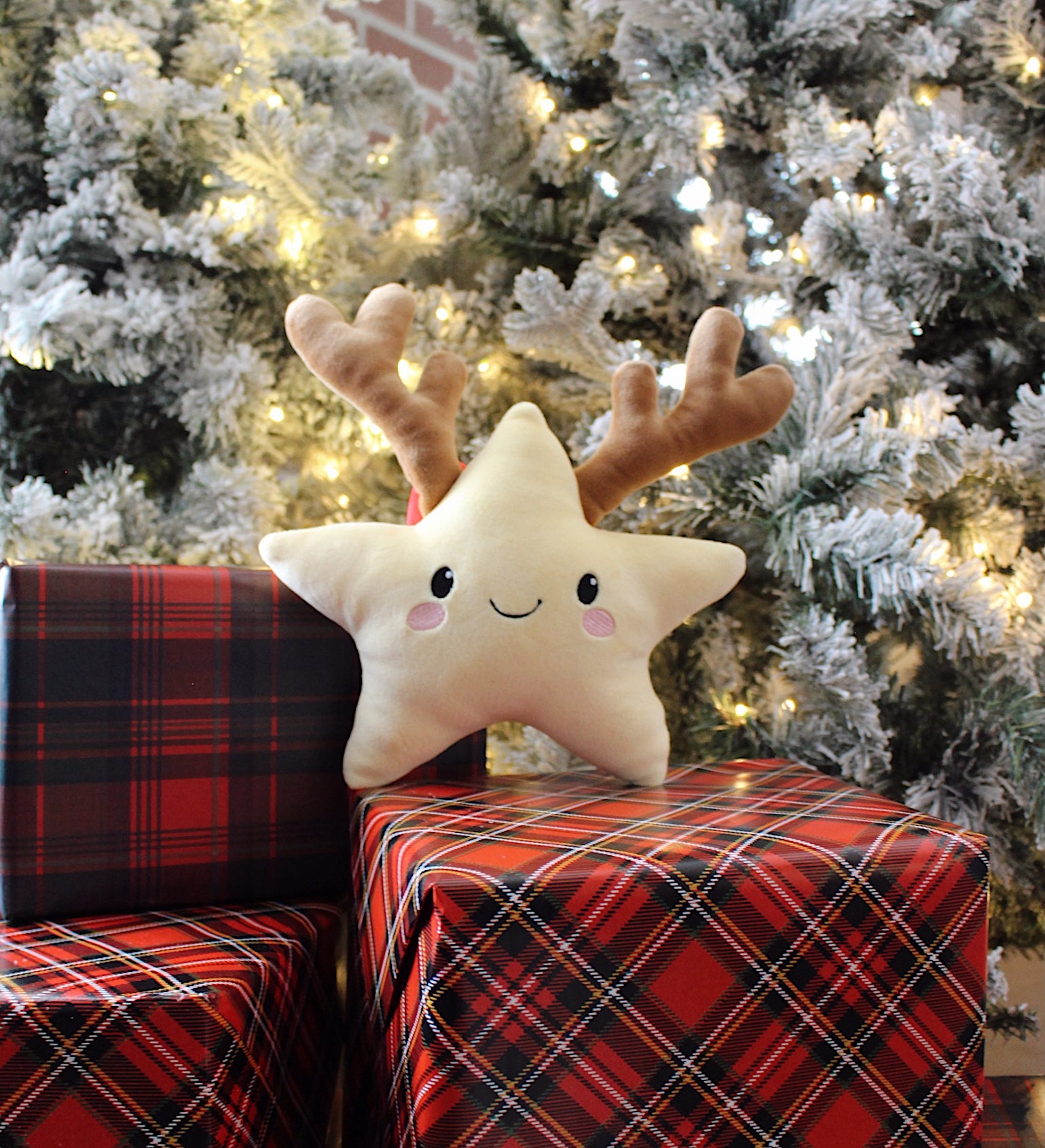 Star Plushie