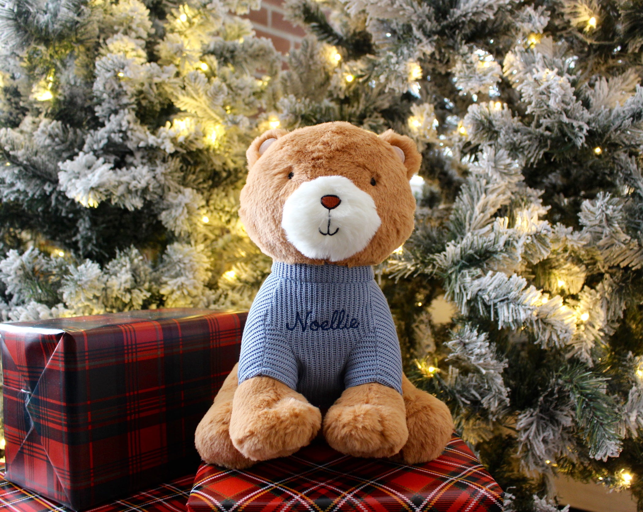 NOELLIE BEAR PLUSHIE - THANK YOU GIFT