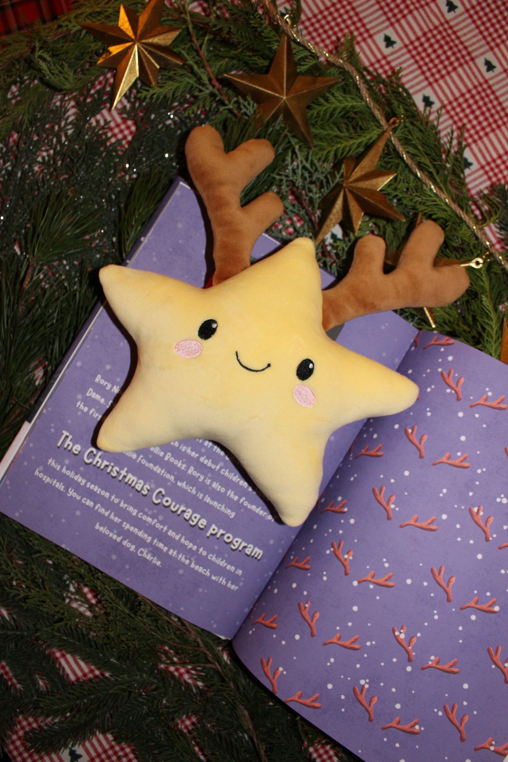 Star Plushie